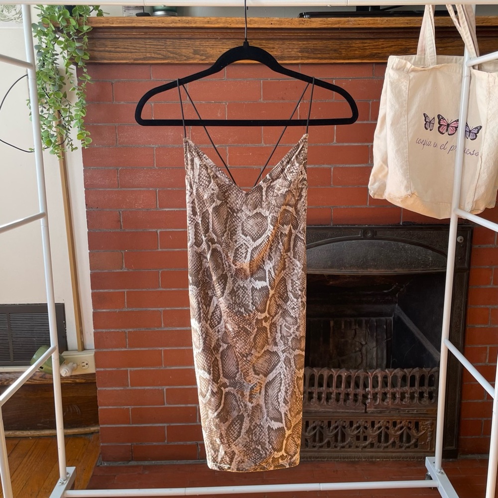 Divided Snake Print Mini Dress